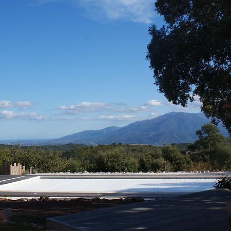 Bed and Breakfast Mas La Marchette Céret Exterior foto