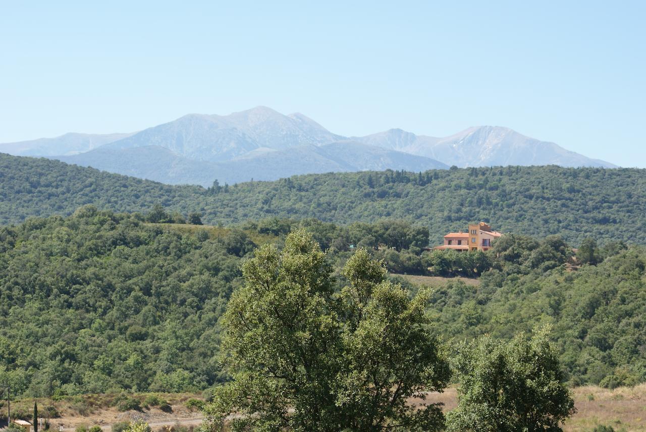 Bed and Breakfast Mas La Marchette Céret Exterior foto
