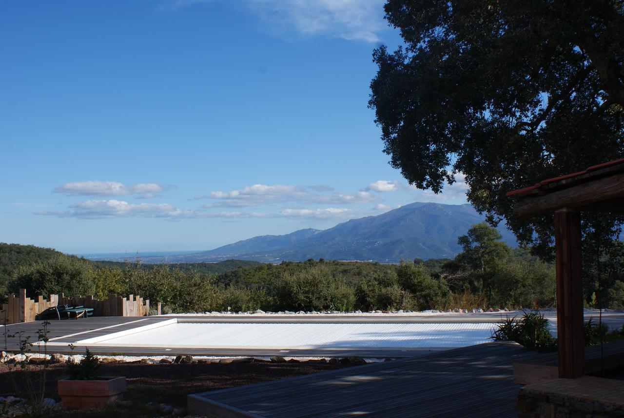 Bed and Breakfast Mas La Marchette Céret Exterior foto