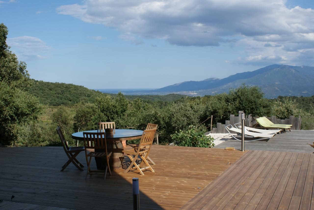 Bed and Breakfast Mas La Marchette Céret Exterior foto